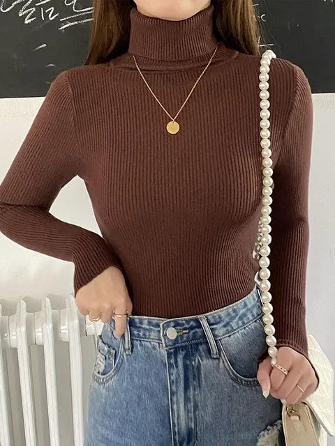 Women's Knitted Turtleneck Sweater