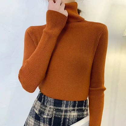 Women's Knitted Turtleneck Sweater