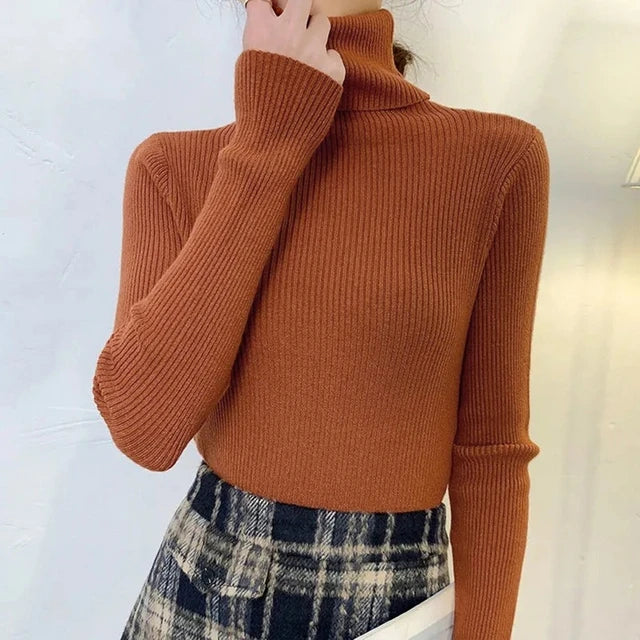 Women's Turtleneck Sweater