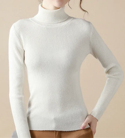 Women's Knitted Turtleneck Sweater