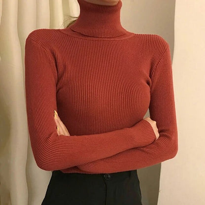 Women's Turtleneck Sweater