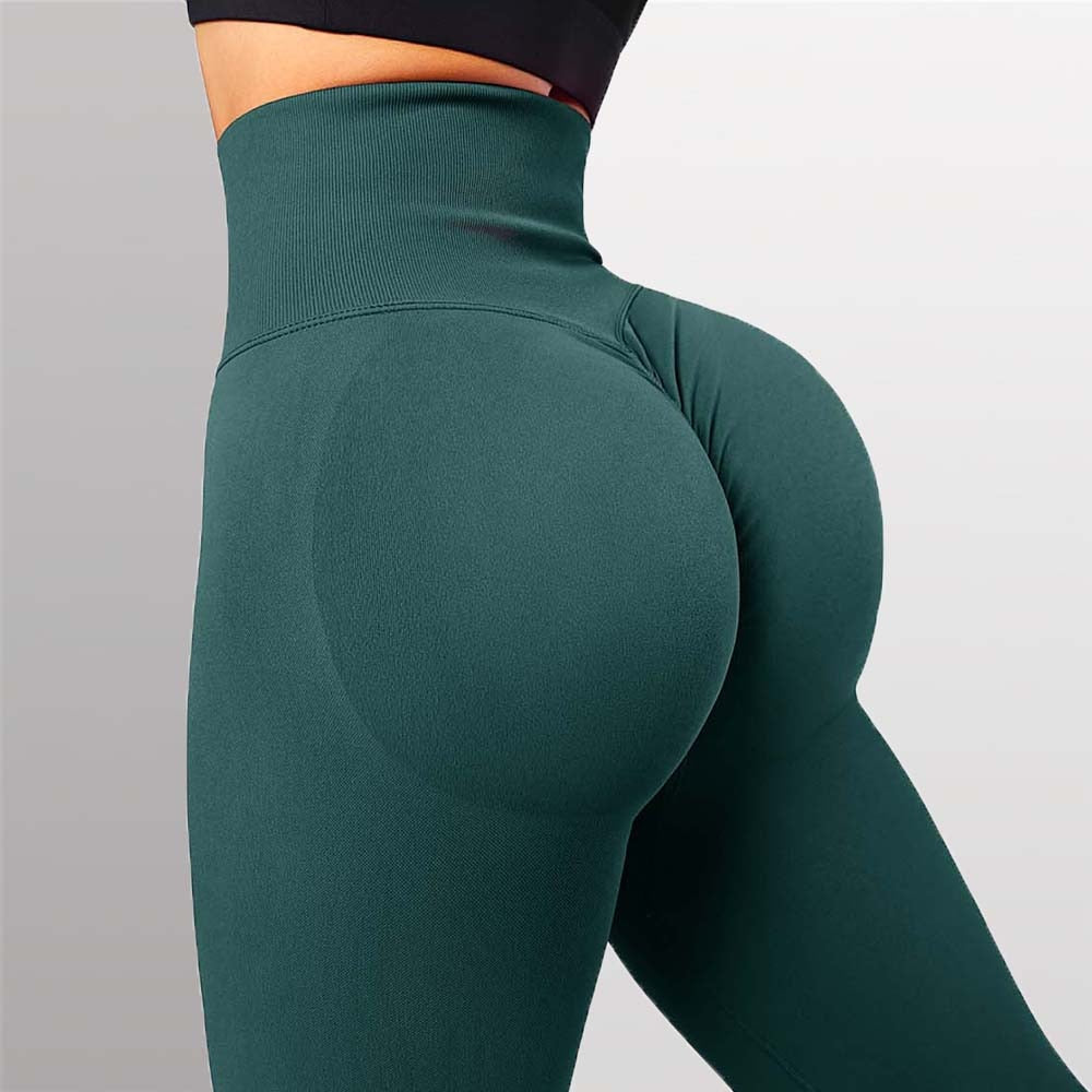 Seamless Legging Women